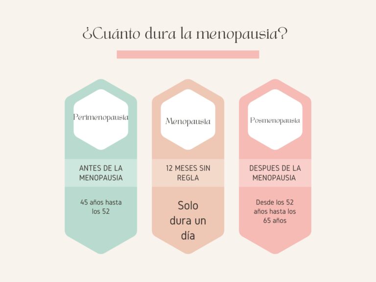 Cuánto dura la perimenopausia, menopausia y posmenopausia